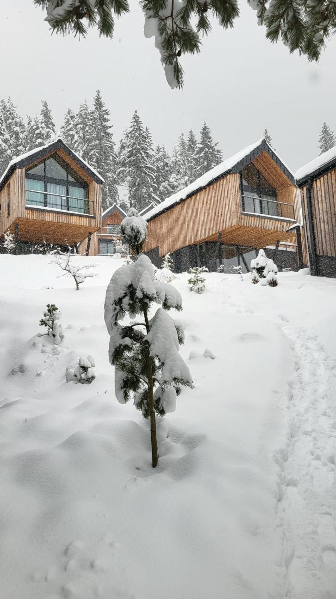 Apartman Freya Liptovsky Mikulas Exterior photo